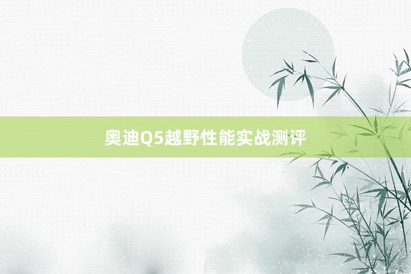 奥迪Q5越野性能实战测评